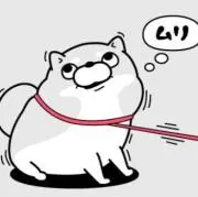 りゅうせいの画像
