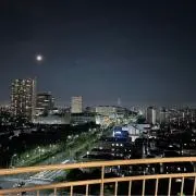 ぴっこの画像