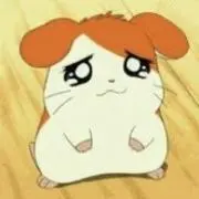 ばさの画像