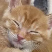 引っ越しセール中◎▽▽10neneの画像