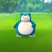ぶっちょ