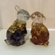 アサミの画像
