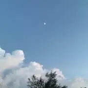 ⁎⋆*の画像