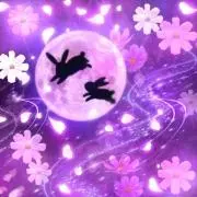 yume14の画像