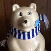 柴犬と猫の画像