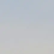 ぽんずの画像