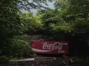つおの画像