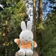 きなこの画像