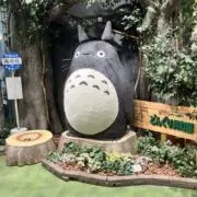 なつめ