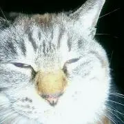 ちろ※プロフィール見てください。の画像