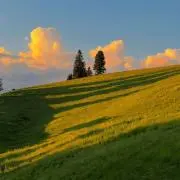 Kuの画像