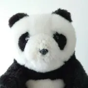 まるこの画像