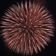 みの画像