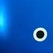 【プロフ必読】クジラさん♣︎の画像