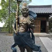 MonsterJoe