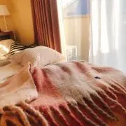 みぅの画像