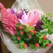 るるの画像