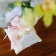 すたろうの画像