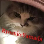 Tomo♡