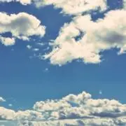 TBの画像
