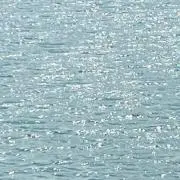 yuuの画像