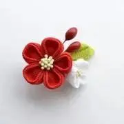 hana ✿✿
