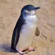 りりぃ、