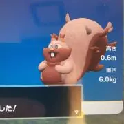 イヌの画像
