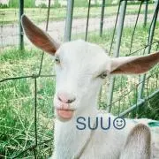 スー☺︎の画像