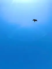 Hakutouの画像