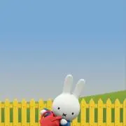 七の画像