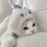 ぴめの画像