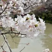 プロフ必読 Na☆.。.:*・°☆.。.の画像