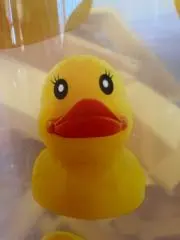 なるるんの画像