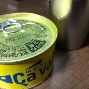 サヴァカンサウルスの画像