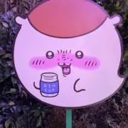 HIRA☆の画像