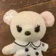 べっちの画像