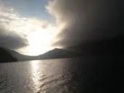 鯖の画像