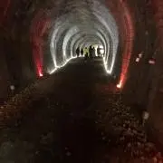 うーるの画像