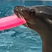 ひつまぶし