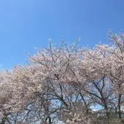 あさひ