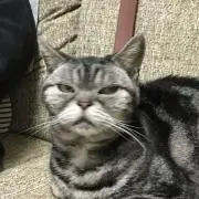 むぅ