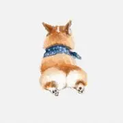 ぴー