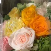 しいぱの画像