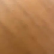もりもり