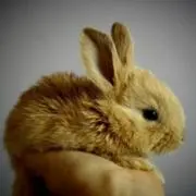 あなたんの画像
