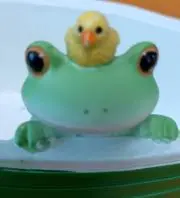 はなこの画像