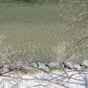 まるの画像