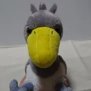 chiee3の画像