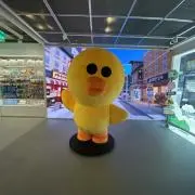 Y Hの画像